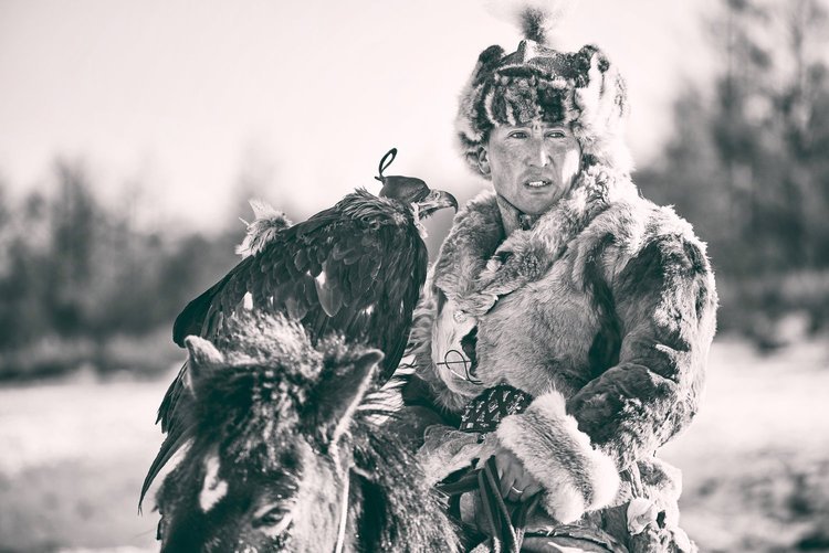 Kazakh eagle hunter in winter fur holding his golden eagle