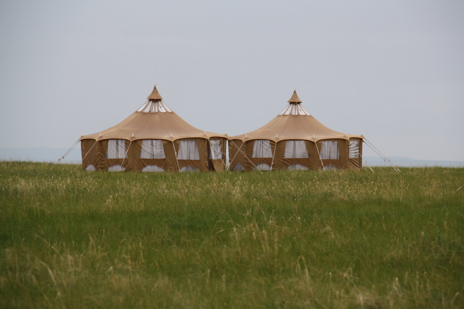 Two mobile gers of the private camp standing on open Mongolian grassland