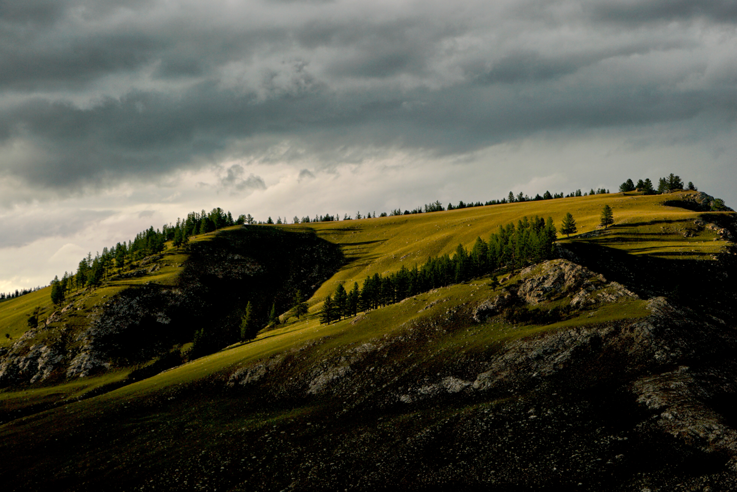 Storm light breaking over the rolling steppe of western Mongolia
